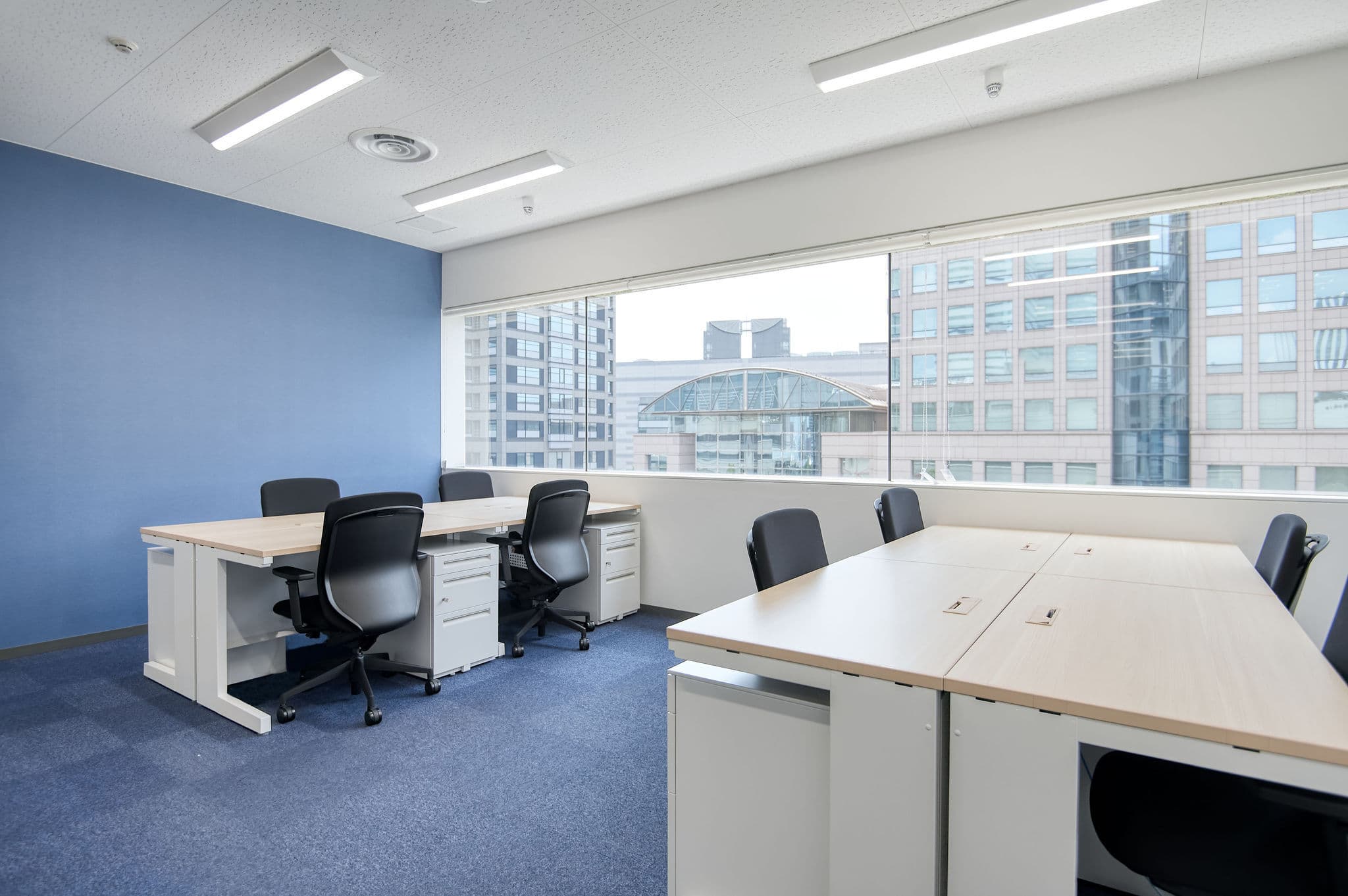 YLP_Office_510_3_