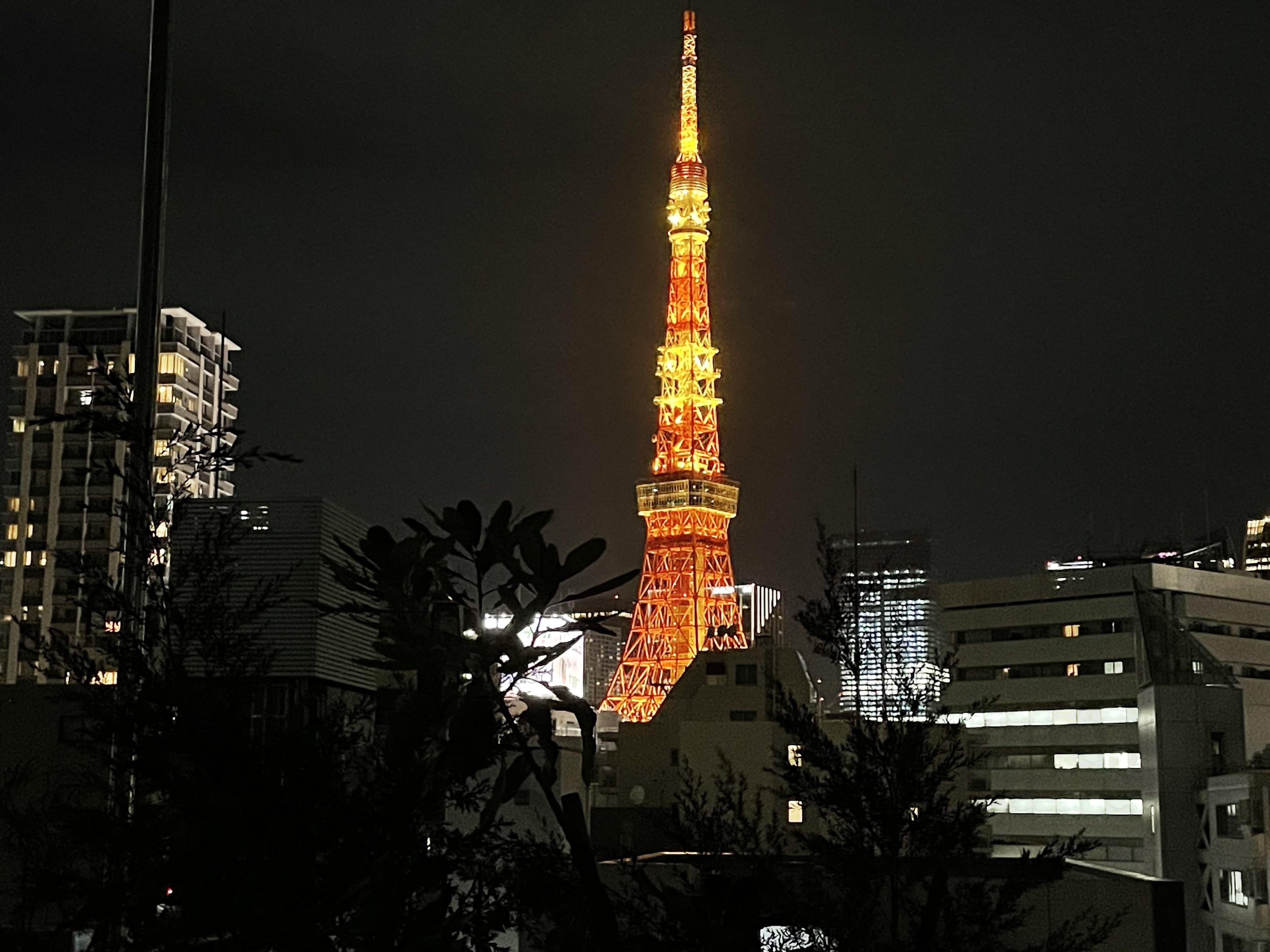 ルーフバルコニーからの東京タワー