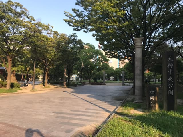 周辺情報_近隣には公園などリフレッシュできる場所が多くあります(天神中央公園)