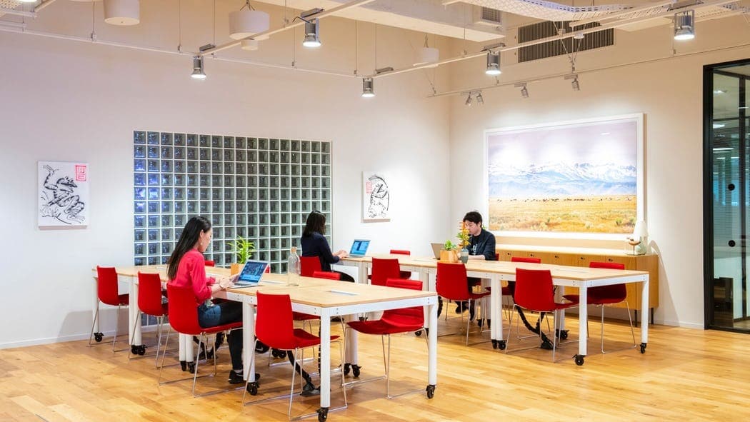 ホットデスクエリア_開放的なオープンスペースの使い方はあなた次第©WeWork