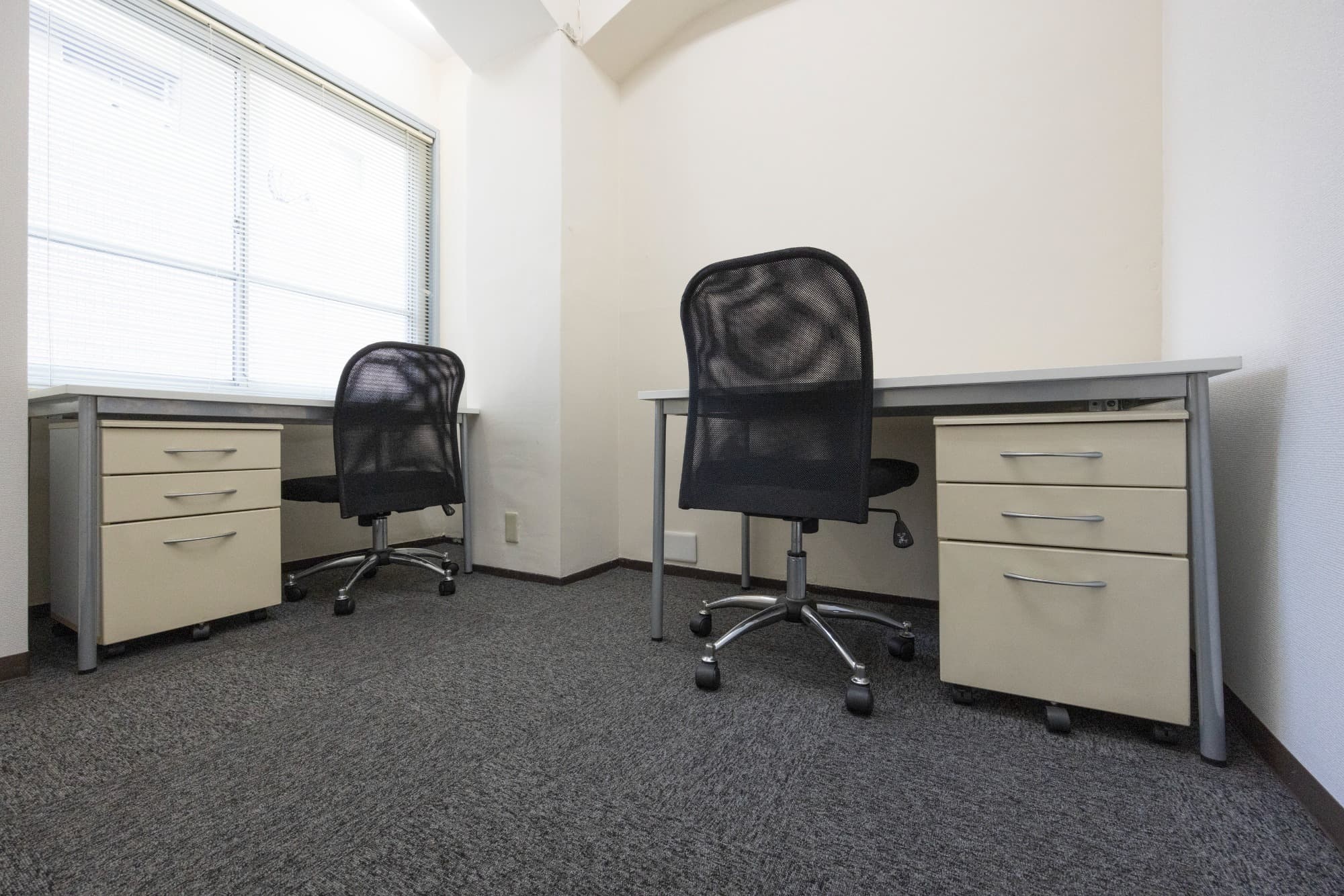 _50A9992_リサイズ