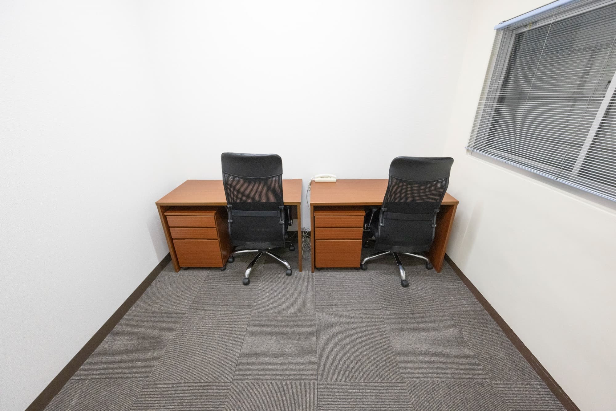 _50A0135_リサイズ