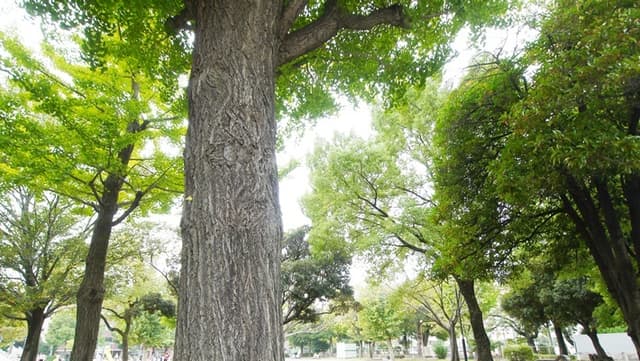 隣接している公園でリフレッシュすることも可能です。