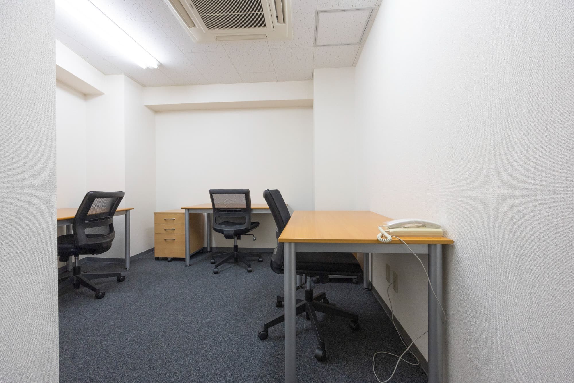 _50A9973_リサイズ