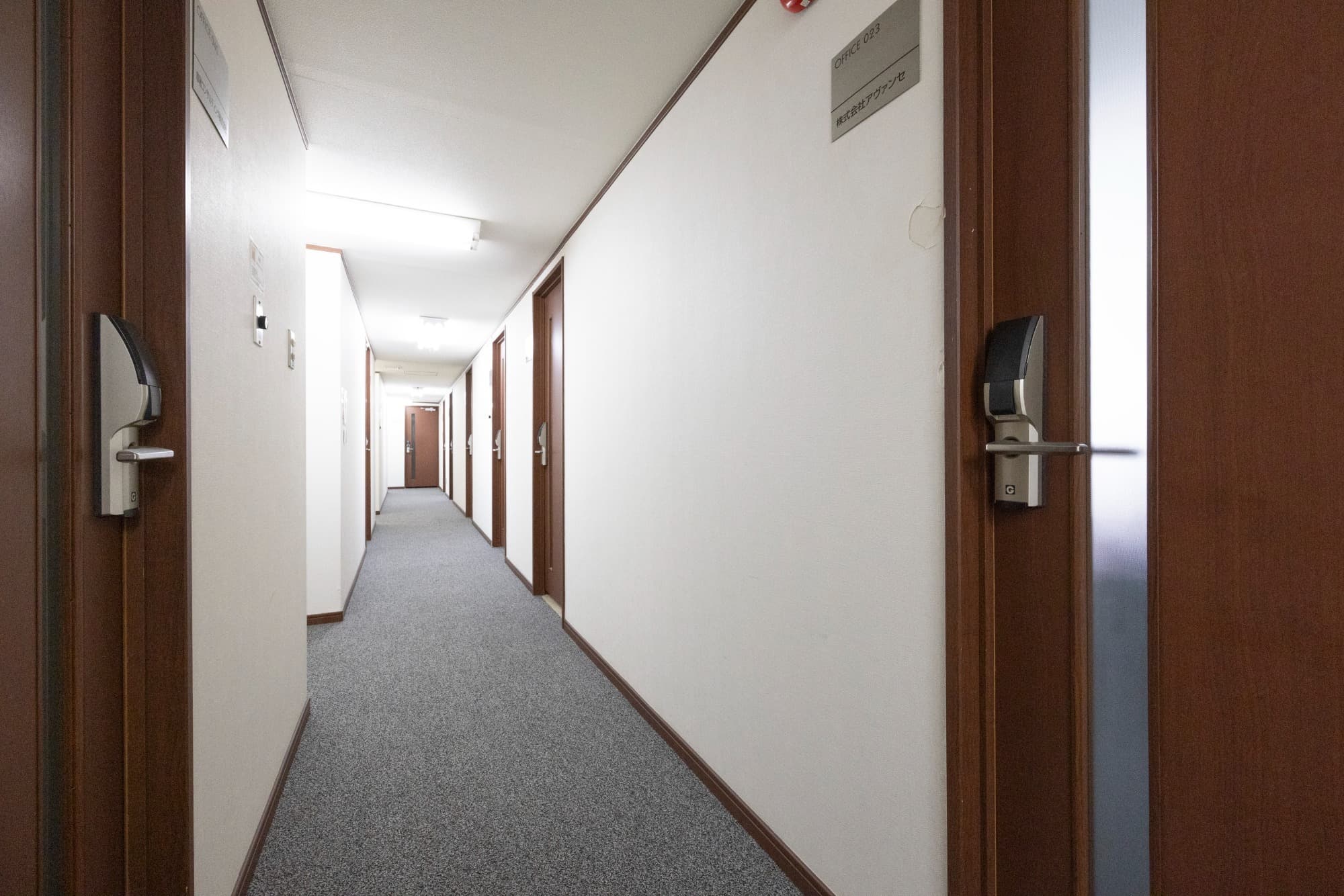 リサイズ_50A8502