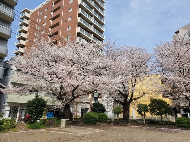近隣の公園_東奥田公園 (徒歩1分)
