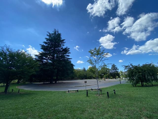 近隣の公園_美しが丘公園 (徒歩1分)