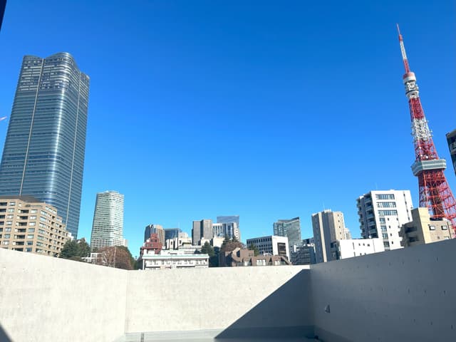 共有部_屋上。東京タワーが臨めます。