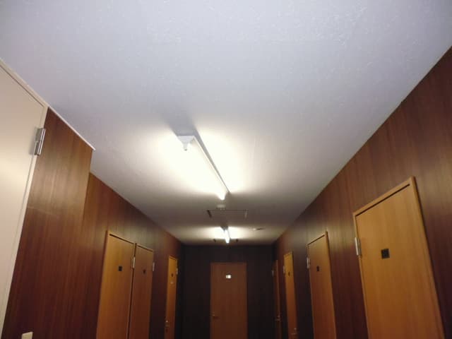 内観_廊下部分の写真です。