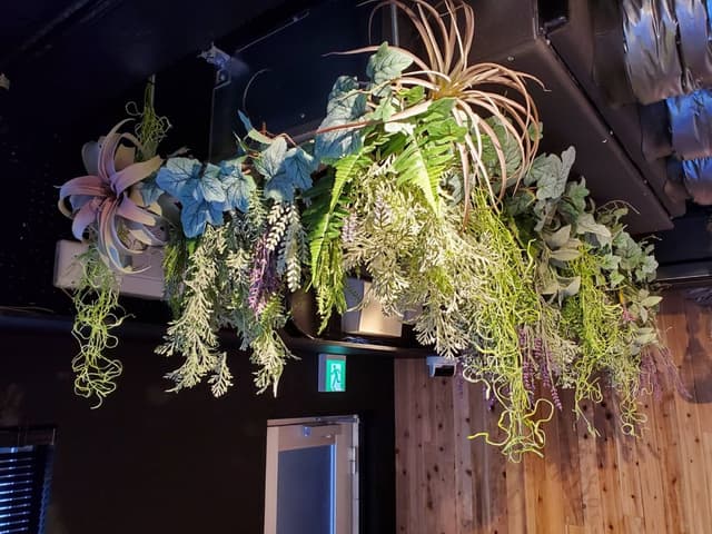 共用部_ラウンジ。観葉植物が設置されておりほっと一息つくことができます。