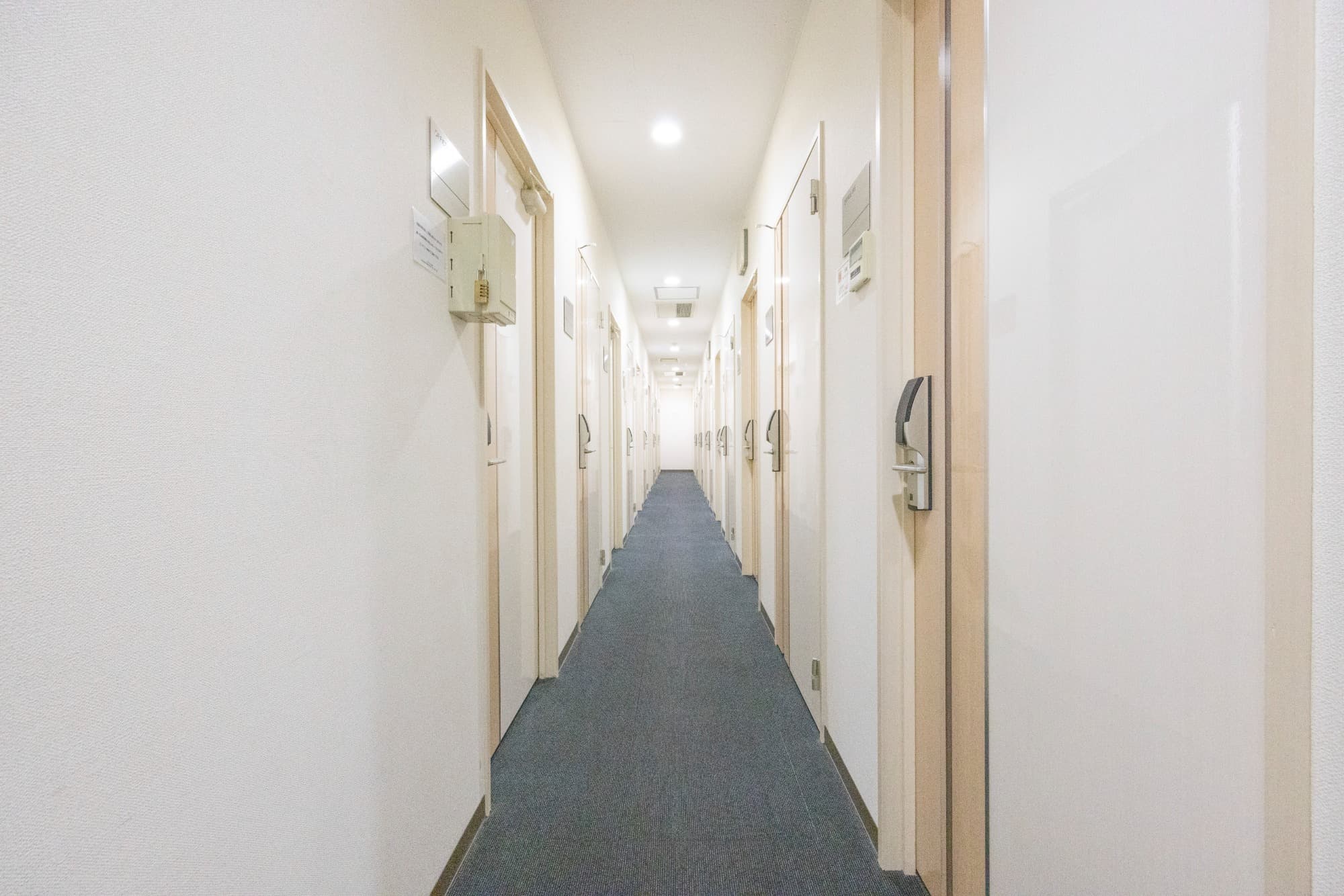 3_50A0957_リサイズ