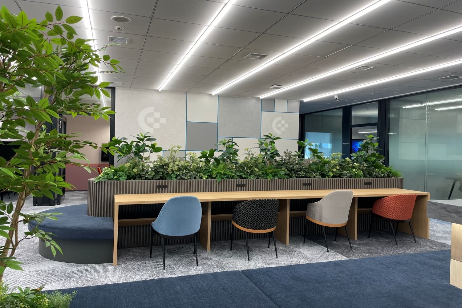 img_Shibns_reception_coworkingarea12