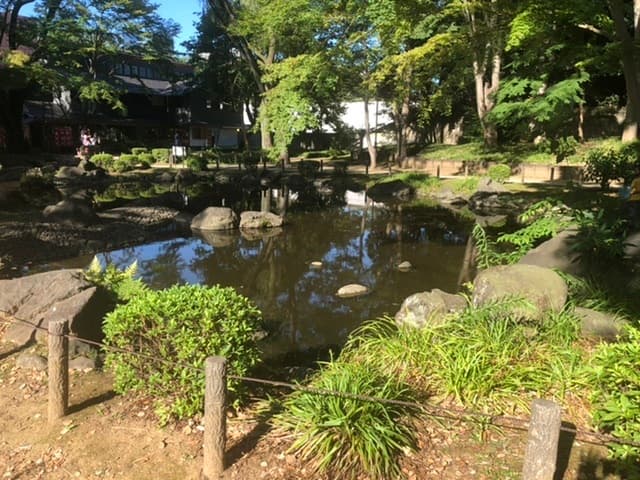 近隣の公園_芝公園 (徒歩7分)
