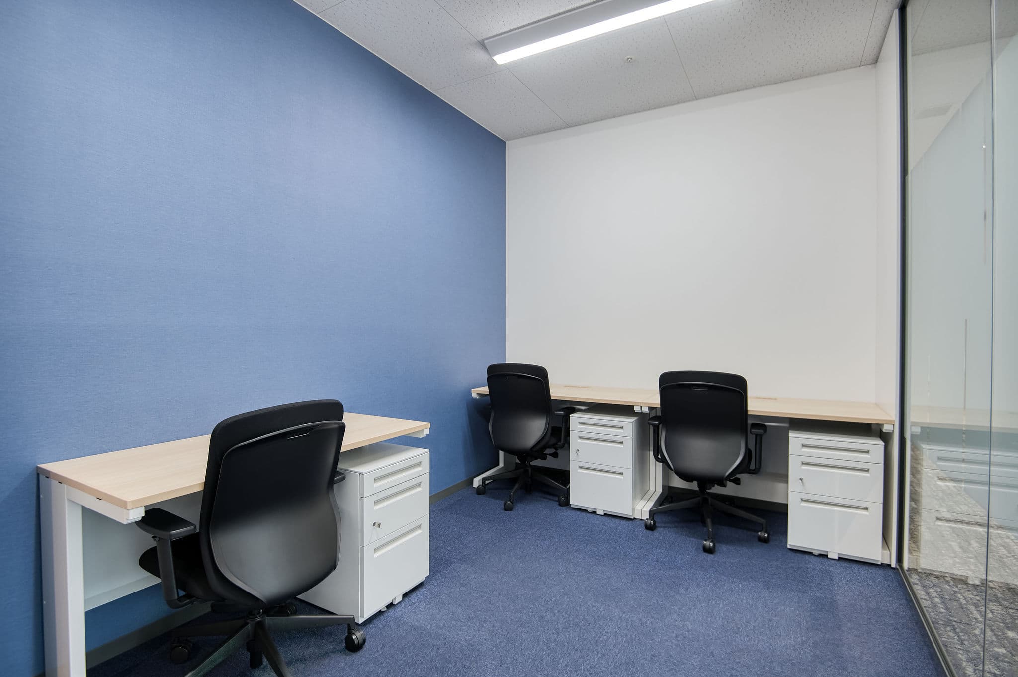 YLP_Office_541_3_