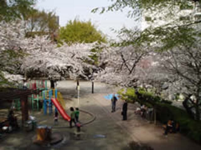 近隣の公園_三河台公園 (徒歩1分)