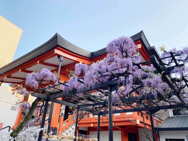神楽坂の毘沙門さま_善國寺のすぐそばです