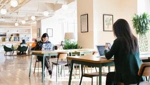 ホットデスクエリア_開放的なオープンスペースの使い方はあなた次第©WeWork