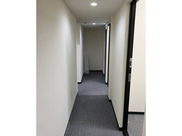 共用部_廊下。安全の二重ロックと防犯カメラの設置で、女性にも安心してお使いいただくことが可能です。