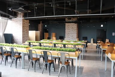 All dayプラン(フリーデスク)